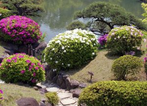 Классический японский сад на www.ru-dachniki.ru