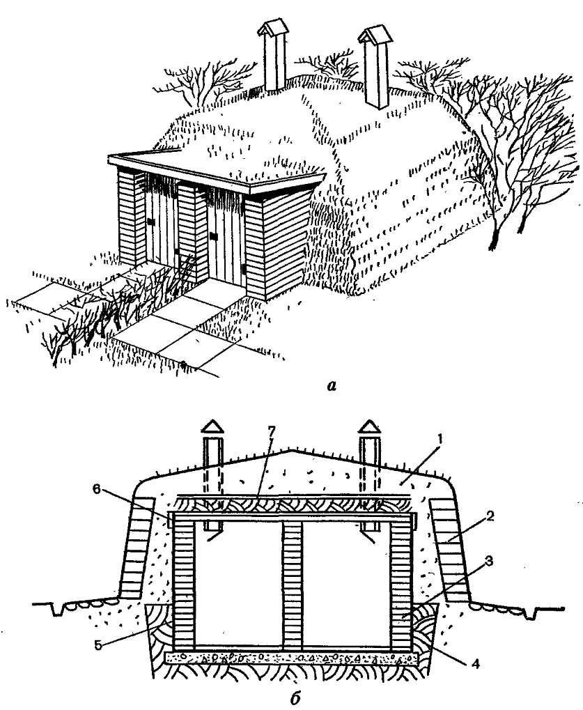 устройство погреба на участке