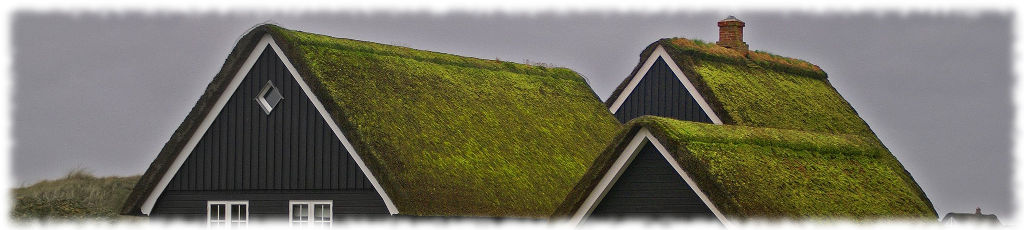 Дом с травяной крышей