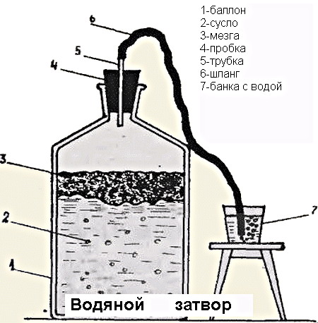 Водяной затвор