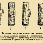 virezka_na_koltsa