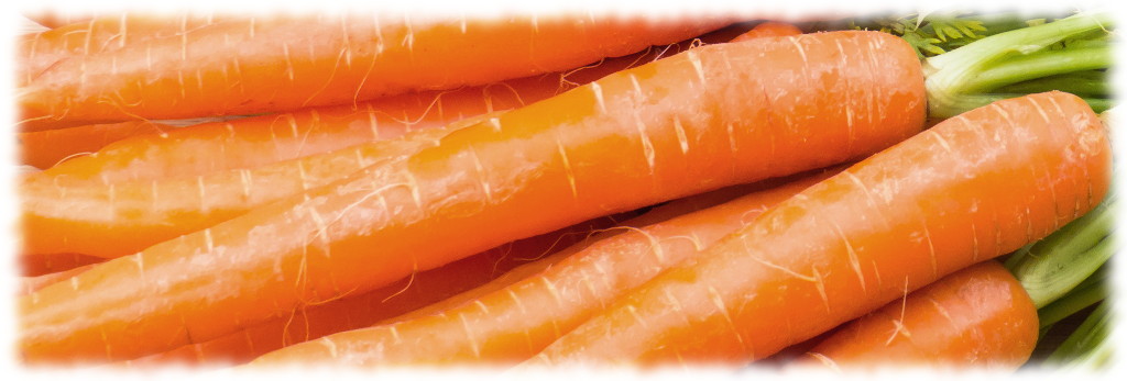 Целебная морковь