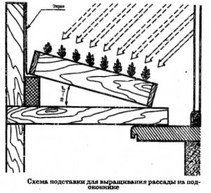 Схема подставки для рассады