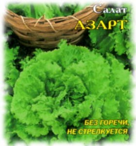 Салат сорта Азарт на www.ru-dachniki.ru